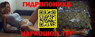 прущий лед Будённовск